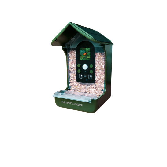 NEW IN!  Solar-Powered Bird Feeder with Camera