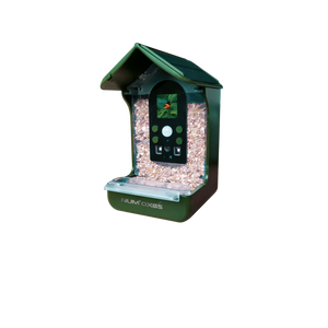 NEW IN!  Solar-Powered Bird Feeder with Camera