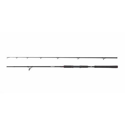 Abu Garcia Beast Spinning Rod