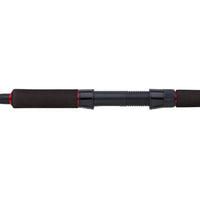 Abu Garcia Beast Pike Spinning Rod