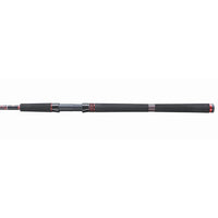 PENN Squadron III SW Spinning Rod