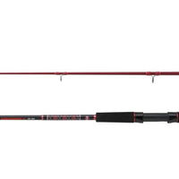 PENN Squadron III SW Spinning Rod