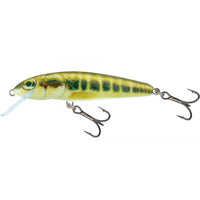 Salmo Minnow Floating Crankbait Trout Lure